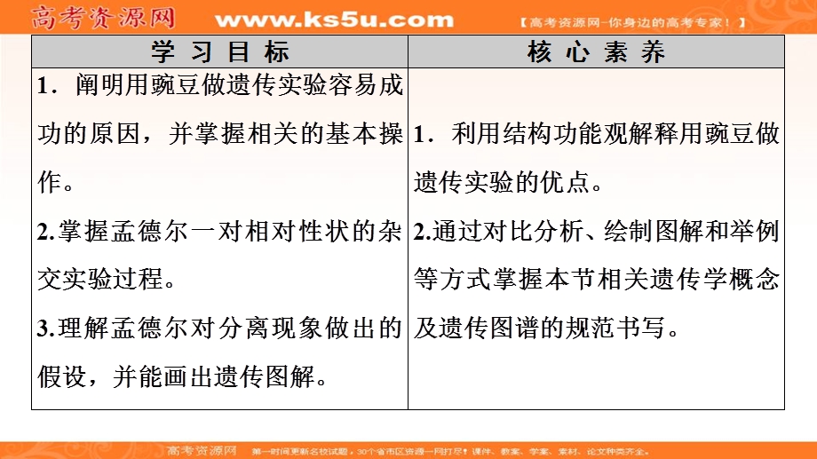 2019-2020学年人教版生物必修二课件：第1章 第1节 孟德尔的豌豆杂交实验1　第1课时 .ppt_第2页