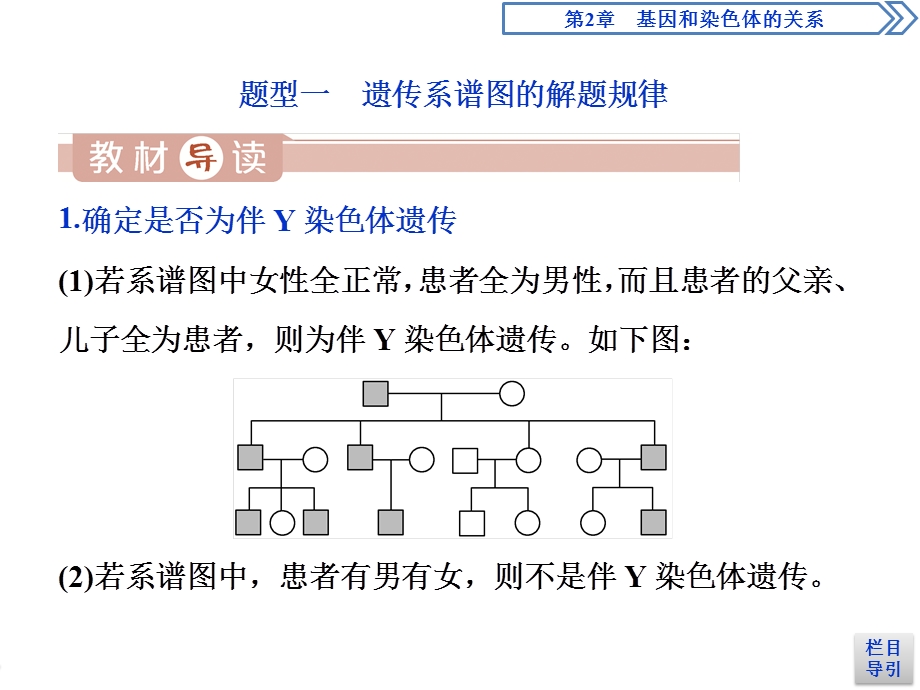 2019-2020学年人教版生物必修二江苏专用课件：第2章 第3节　伴性遗传（Ⅱ） .ppt_第3页