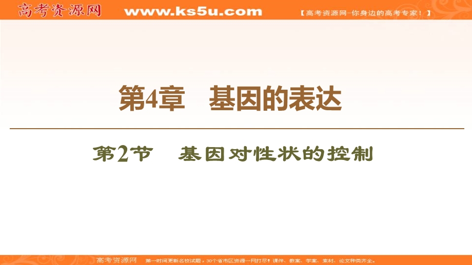 2019-2020学年人教版生物必修二课件：第4章 第2节　基因对性状的控制 .ppt_第1页