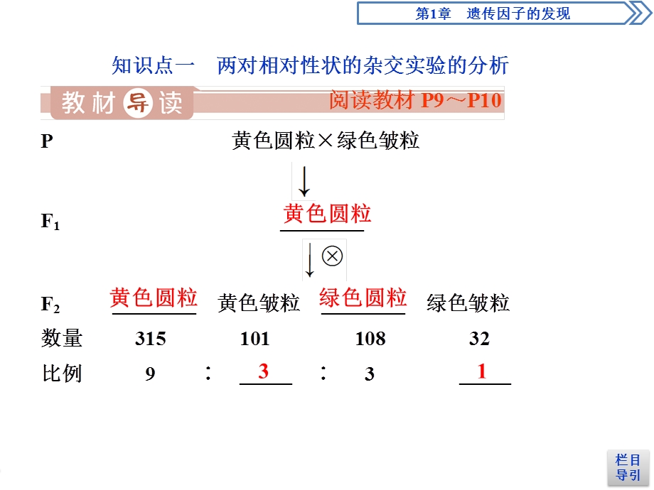 2019-2020学年人教版生物必修二江苏专用课件：第1章 第2节　孟德尔的豌豆杂交实验（二）（Ⅰ） .ppt_第3页