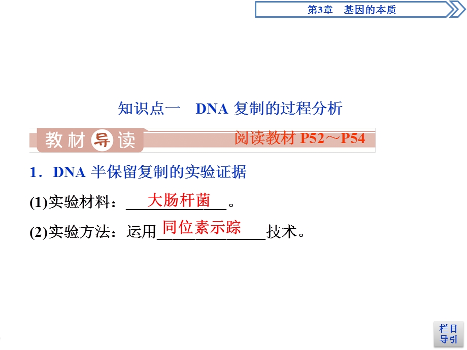 2019-2020学年人教版生物必修二江苏专用课件：第3章 第3节　DNA的复制 第4节　基因是有遗传效应的DNA片段 .ppt_第3页