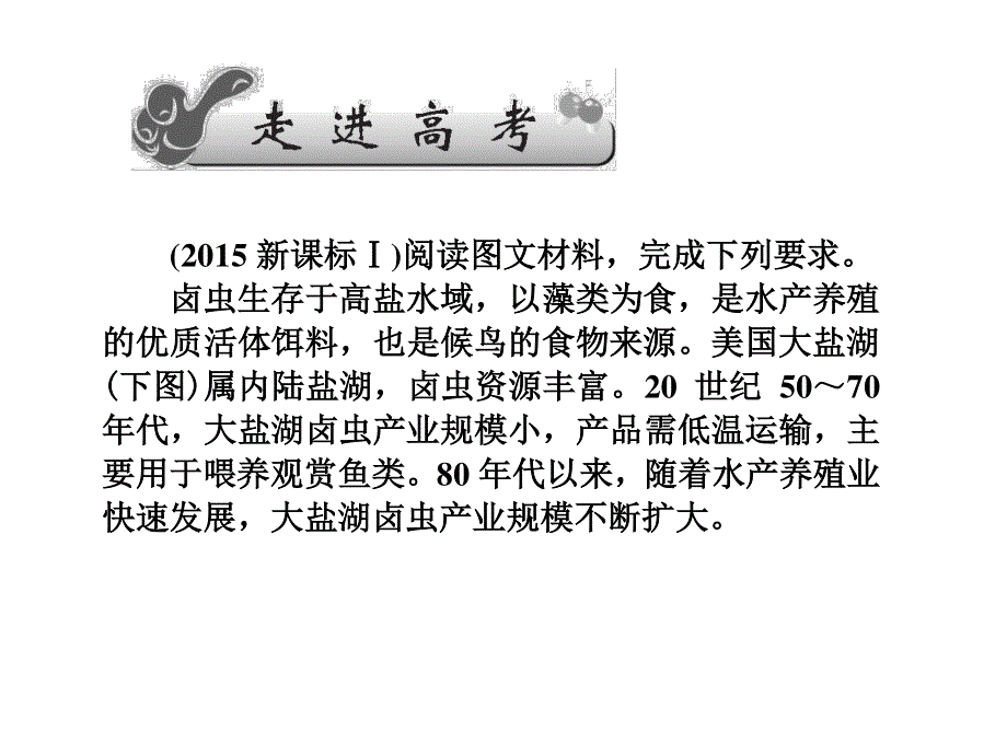 2017届高三地理一轮总复习（新课标）课件：第十三单元（第五讲美洲 ） .ppt_第2页