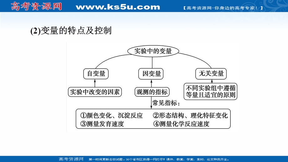 2021-2022学年新教材人教版生物必修1课件：第5章 素能提升课　科学探究中的变量控制、检测与对照实验 .ppt_第3页