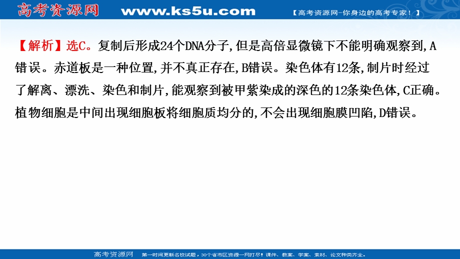 2021-2022学年新教材人教版生物必修一习题课件：单元练 第6章 细胞的生命历程 .ppt_第3页