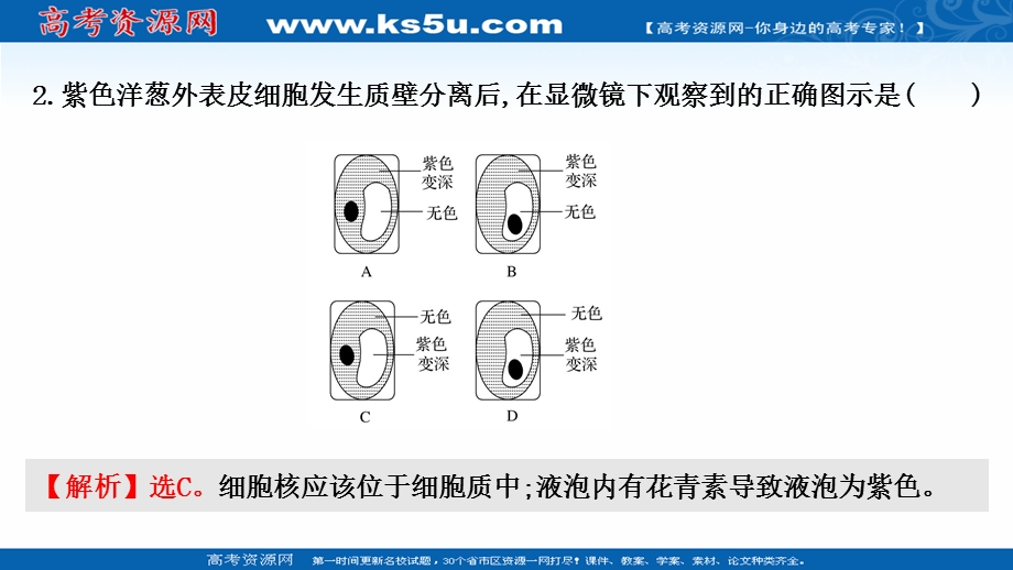 2021-2022学年新教材人教版生物必修一习题课件：课时练4-1 被动运输 .ppt_第3页