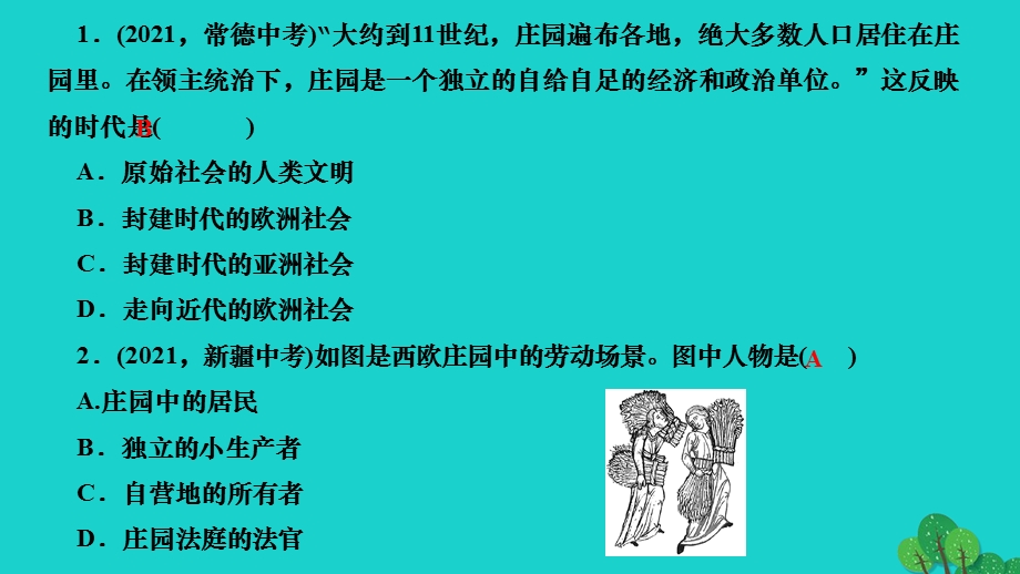 2022九年级历史上册 第三单元 封建时代的欧洲第8课 西欧庄园作业课件 新人教版.ppt_第3页