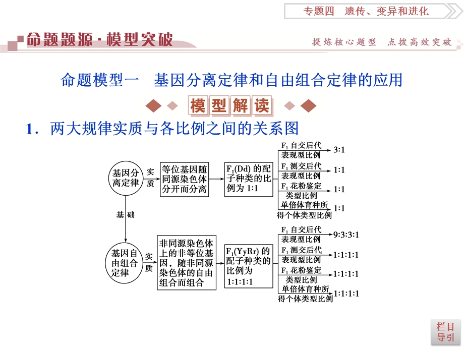 2016届《卓越学案》高考生物二轮课件：命题源4.8遗传的基本规律和伴性遗传 .ppt_第3页