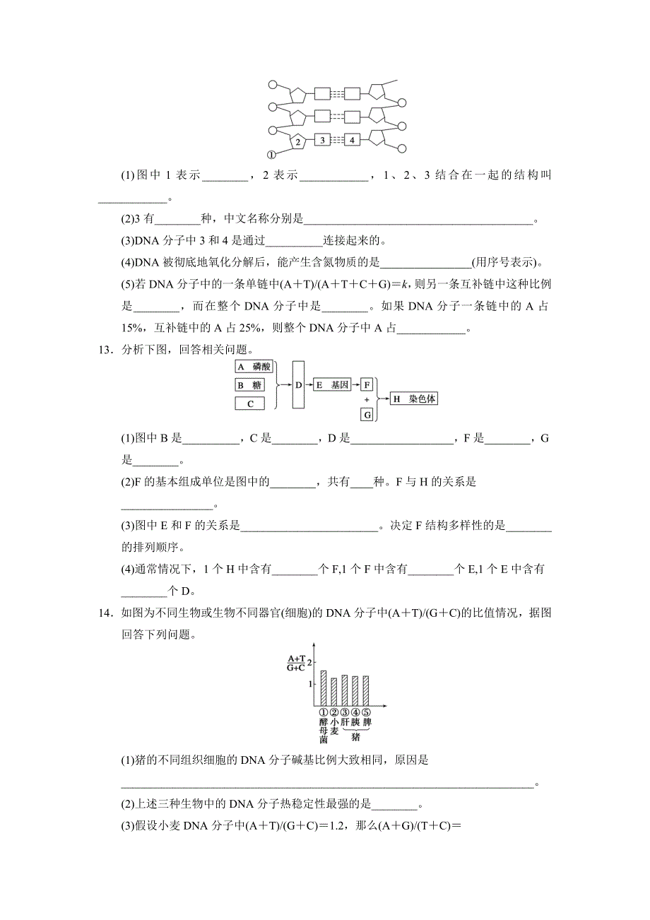 《课堂设计》2015-2016学年高一生物北师大版必修2每课一练：2.2.3 DNA贮存遗传信息（Ⅲ） WORD版含解析.doc_第3页