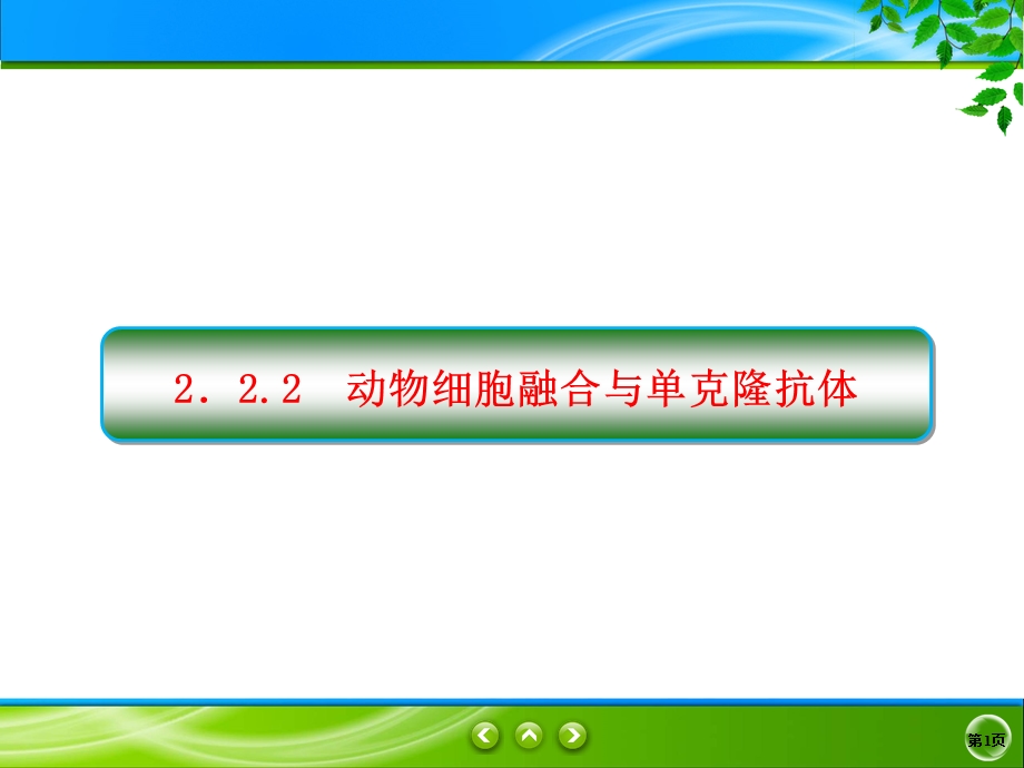 2019-2020学年人教版生物选修三同步导学课件：2-2-2　动物细胞融合与单克隆抗体 .ppt_第1页