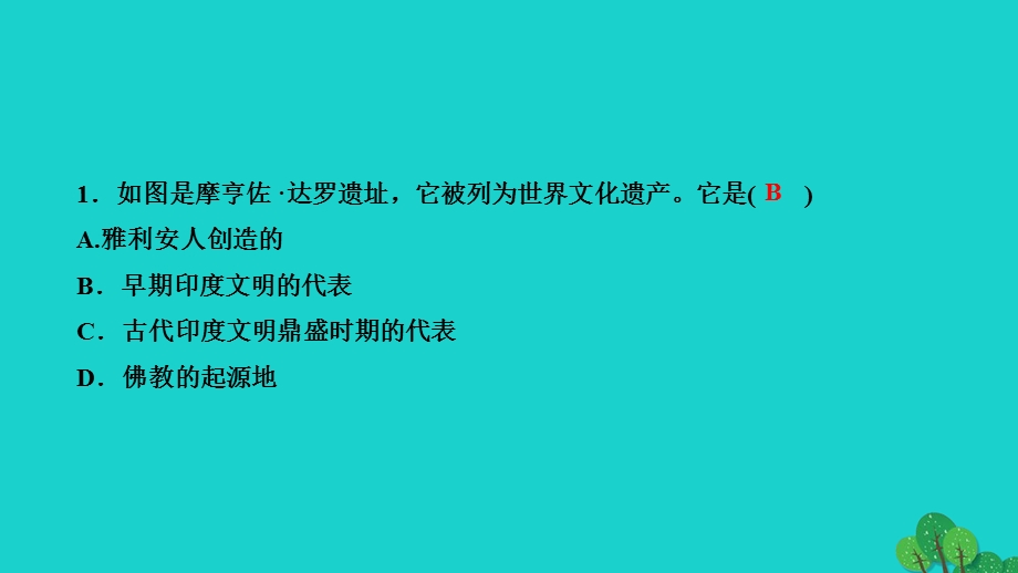 2022九年级历史上册 第一单元 古代亚非文明 第3课 古代印度作业课件 新人教版.ppt_第3页