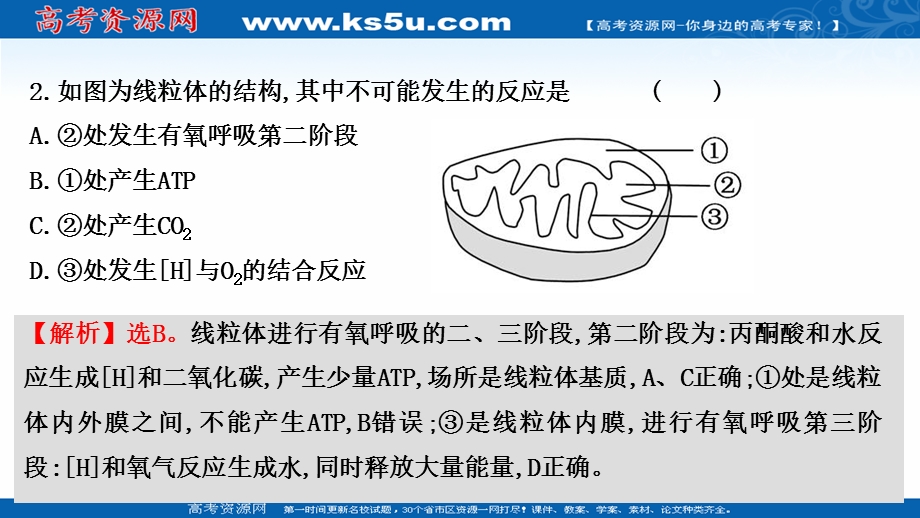 2021-2022学年新教材人教版生物必修一习题课件：课时练5-3 细胞呼吸的原理和应用 .ppt_第3页