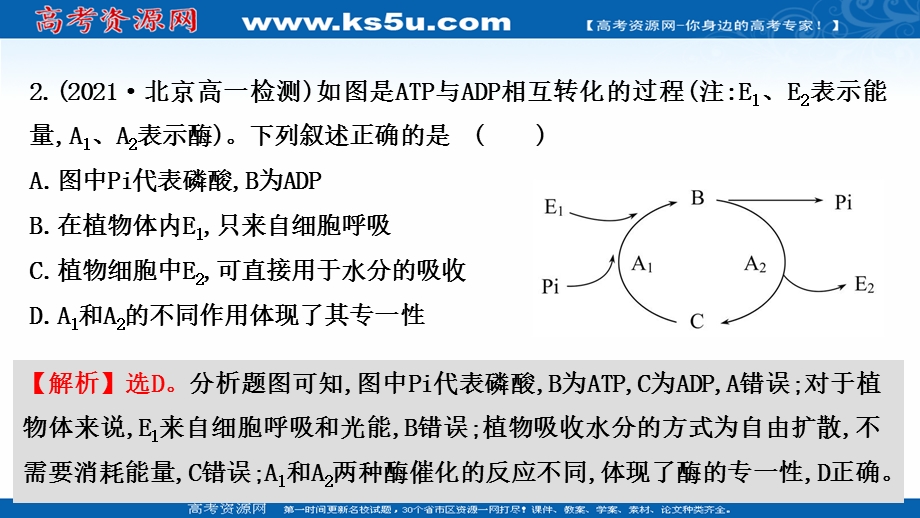 2021-2022学年新教材人教版生物必修一习题课件：课时练5-2 细胞的能量“货币”ATP .ppt_第3页