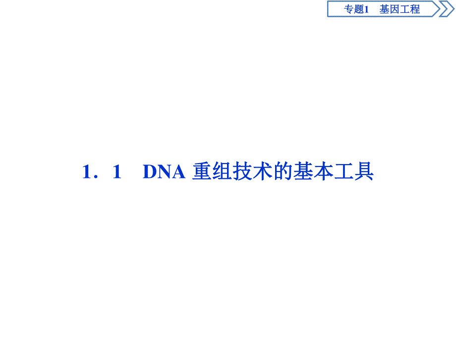 2019-2020学年人教版生物选修三江苏专用课件：1．1　DNA重组技术的基本工具 .ppt_第2页