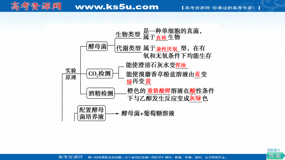 2021-2022学年新教材人教版生物必修1课件：第5章 探究实践　探究酵母菌细胞呼吸的方式 .ppt_第3页