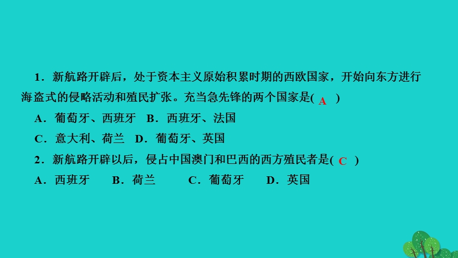 2022九年级历史上册 第五单元 走向近代 第16课 早期殖民掠夺作业课件 新人教版.ppt_第3页