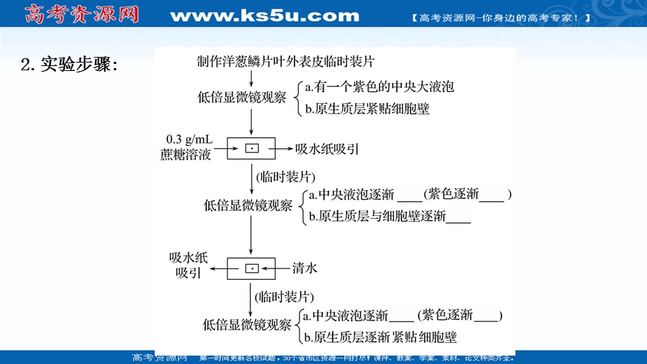 2021-2022学年新教材人教版生物必修一课件：探究&实践 探究植物细胞的吸水和失水 .ppt_第3页