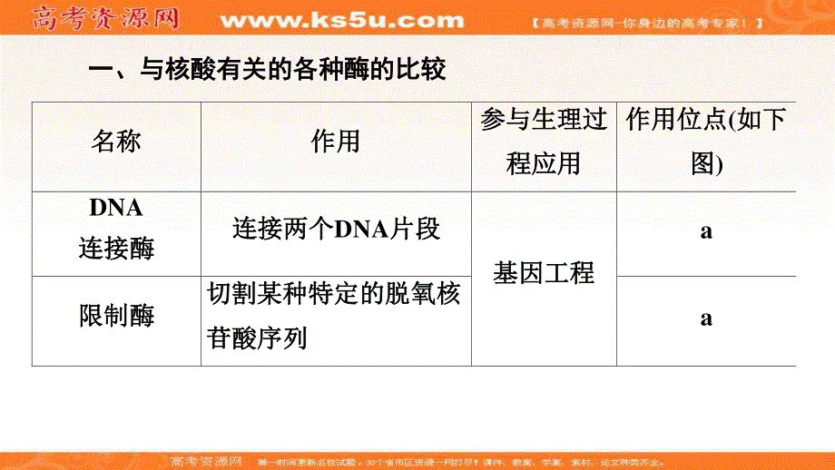 2019-2020学年人教版生物选修三课件：专题1 素能提升课 基因工程 .ppt_第3页