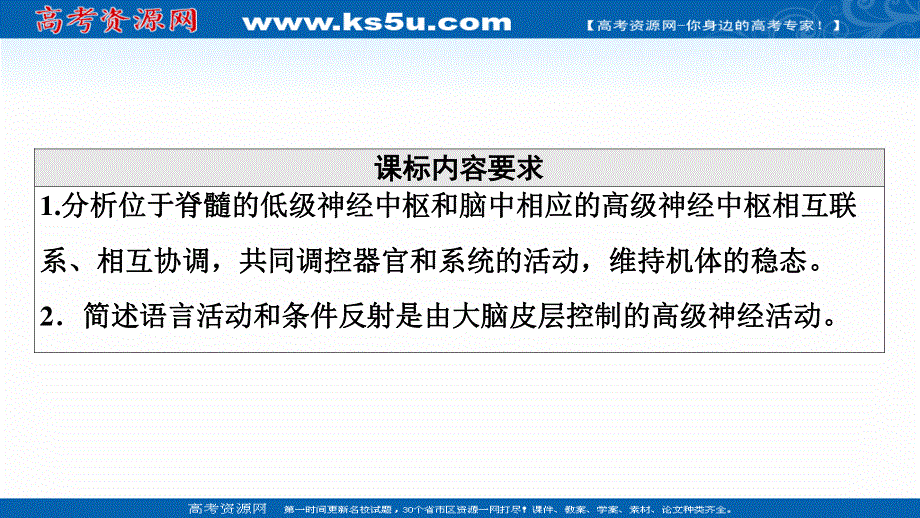 2021-2022学年新教材人教版生物选择性必修1课件：第2章 第4节　神经系统的分级调节 第5节　人脑的高级功能 .ppt_第2页