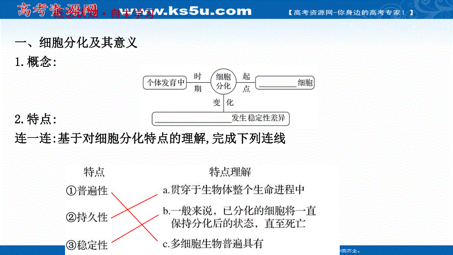 2021-2022学年新教材人教版生物必修一课件：第6章 第2节 细胞的分化 .ppt_第3页