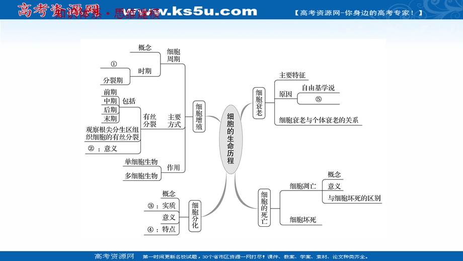 2021-2022学年新教材人教版生物必修一课件：阶段提升课 第6章 细胞的生命历程 .ppt_第2页