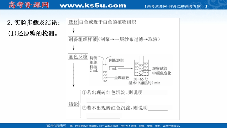 2021-2022学年新教材人教版生物必修一课件：探究&实践 检测生物组织中的糖类、脂肪和蛋白质 .ppt_第3页