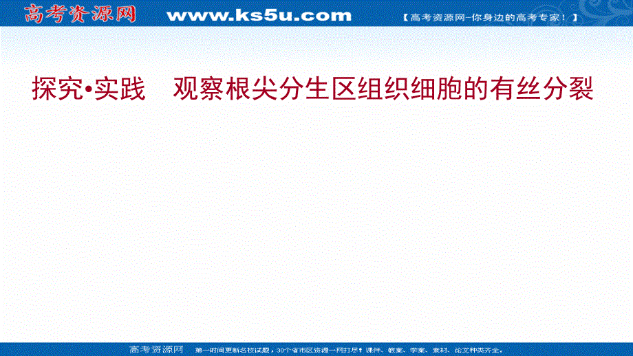 2021-2022学年新教材人教版生物必修一课件：探究&实践 观察根尖分生区组织细胞的有丝分裂 .ppt_第1页