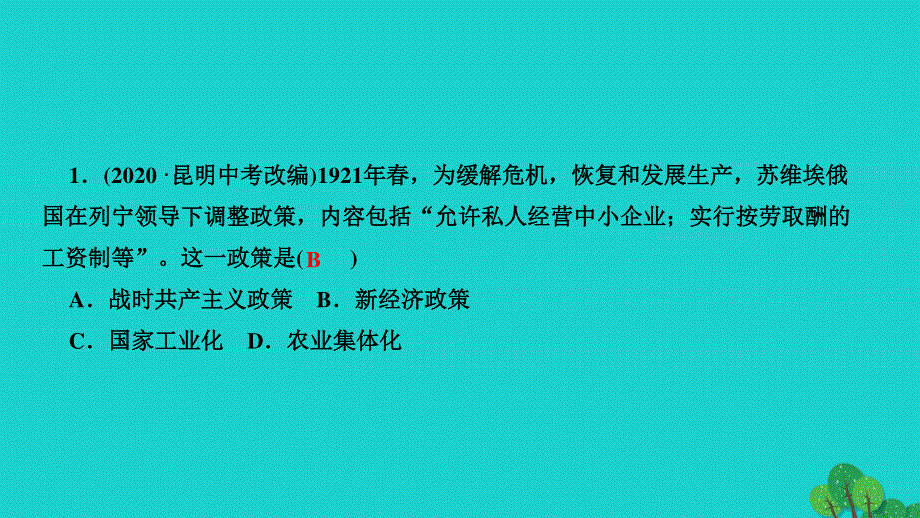 2022九年级历史下册 第三单元 第一次世界大战和战后初期的世界 第11课 苏联的社会主义建设作业课件 新人教版.ppt_第3页