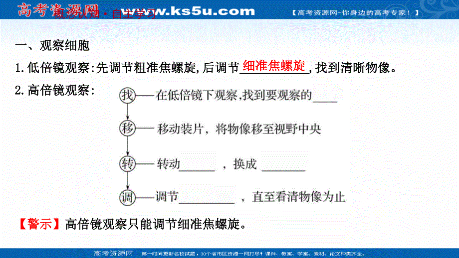 2021-2022学年新教材人教版生物必修一课件：第1章 第2节 细胞的多样性和统一性 .ppt_第3页