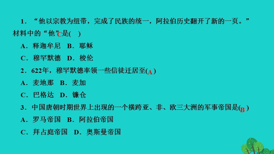 2022九年级历史上册 第四单元 封建时代的亚洲国家第12课 阿拉伯帝国作业课件 新人教版.ppt_第3页