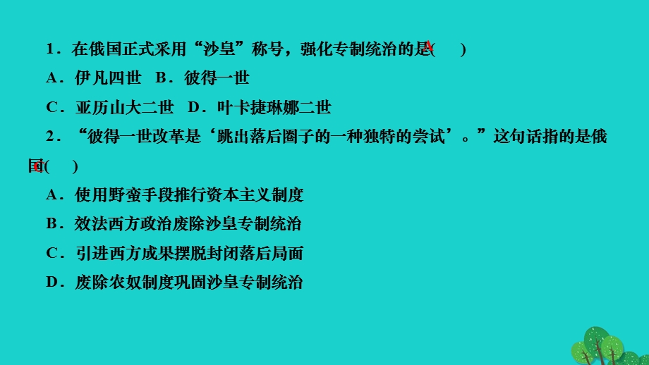 2022九年级历史下册 第一单元 殖民地人民的反抗与资本主义制度的扩展第2课 俄国的改革作业课件 新人教版.ppt_第3页