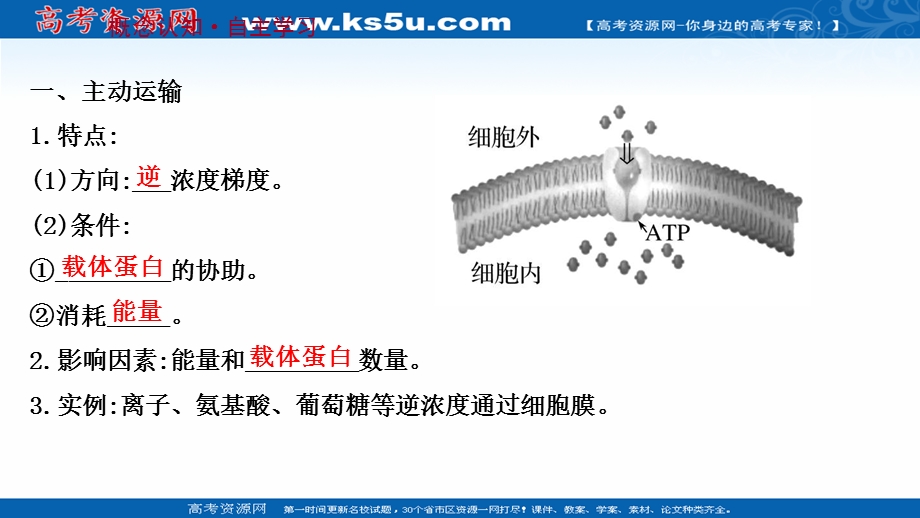 2021-2022学年新教材人教版生物必修一课件：第4章 第2节 主动运输与胞吞、胞吐 .ppt_第3页