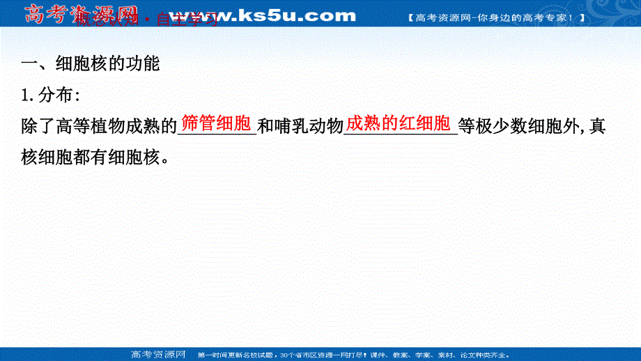 2021-2022学年新教材人教版生物必修一课件：第3章 第3节 细胞核的结构和功能 .ppt_第3页