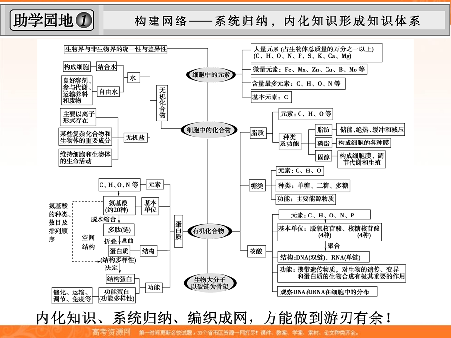 2013届高三人教版生物一轮复习单元整合提升课件：必修一（1）.ppt_第1页