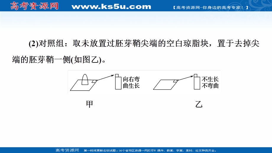 2021-2022学年新教材人教版生物选择性必修1课件：第5章 素能提升课　与生长素有关的实验设计和分析 .ppt_第3页