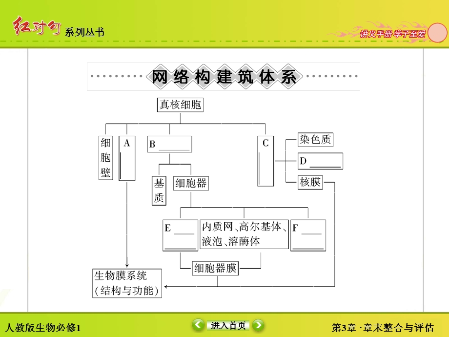 2015-2016学年高一人教版生物必修一课件：章末整合与评估3 .ppt_第3页