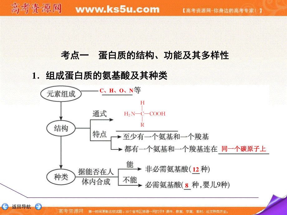 2020届高三生物（人教版）第一轮复习课件：第一单元 第3讲　蛋白质 .ppt_第3页