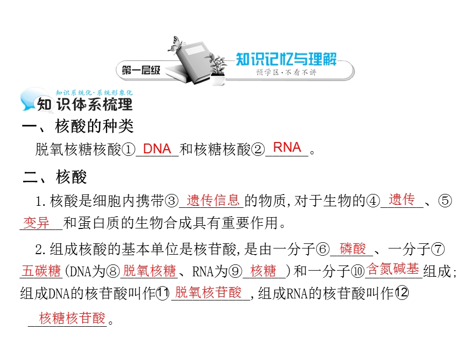 2015-2016学年高一人教版生物必修一课件：第2章 第3节 遗传信息的携带者——核酸1 .ppt_第3页