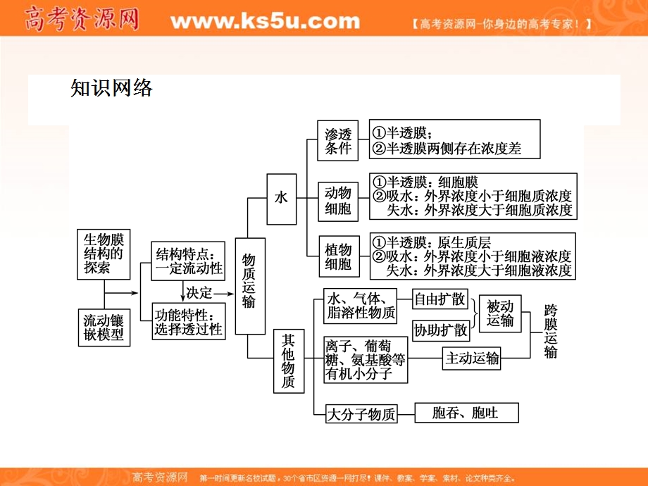 2015-2016学年高一人教版生物必修一课件：章末专题复习4 .ppt_第2页