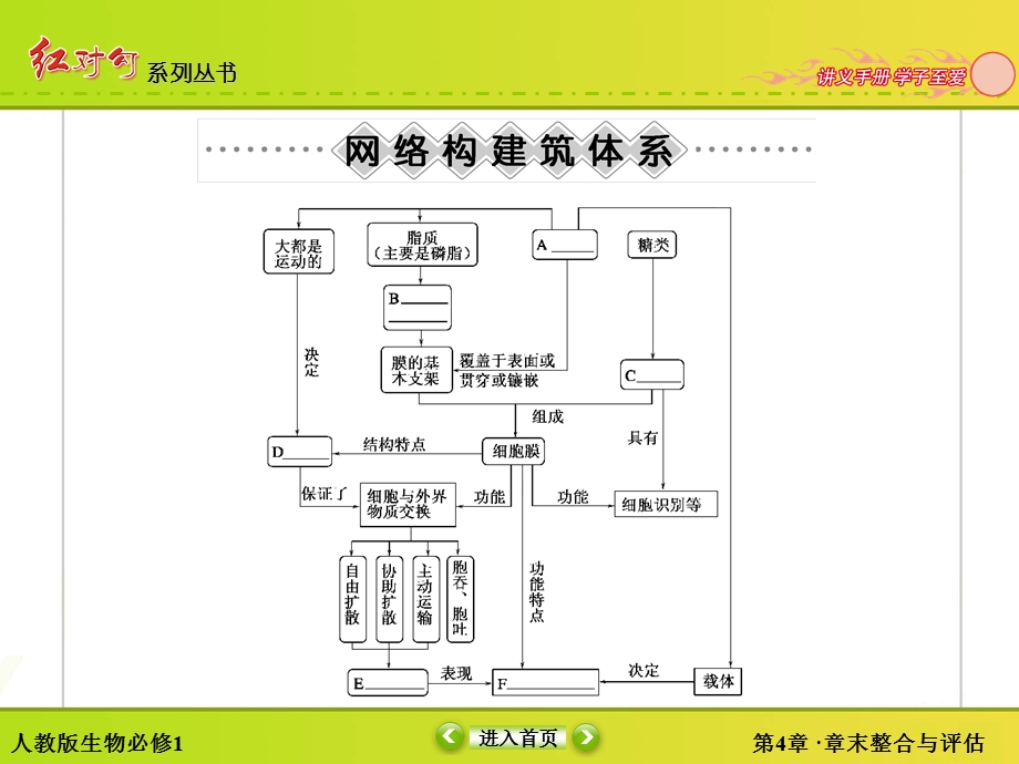 2015-2016学年高一人教版生物必修一课件：章末整合与评估4 .ppt_第3页