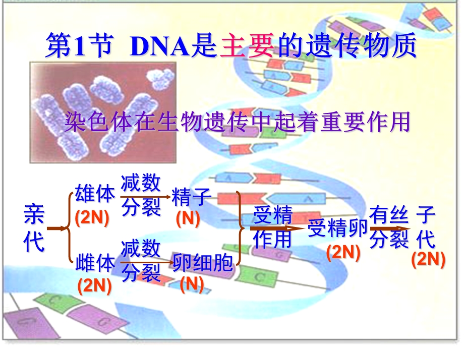 2015-2016学年高一人教版生物必修二配套课件：3.1 DNA是主要的遗传物质 .ppt_第1页