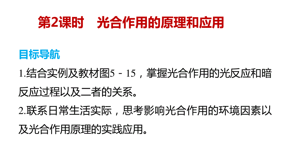 2015-2016学年高一生物人教版必修1课件：第5章 第4节 第2课时 光合作用的原理和应用 .ppt_第2页