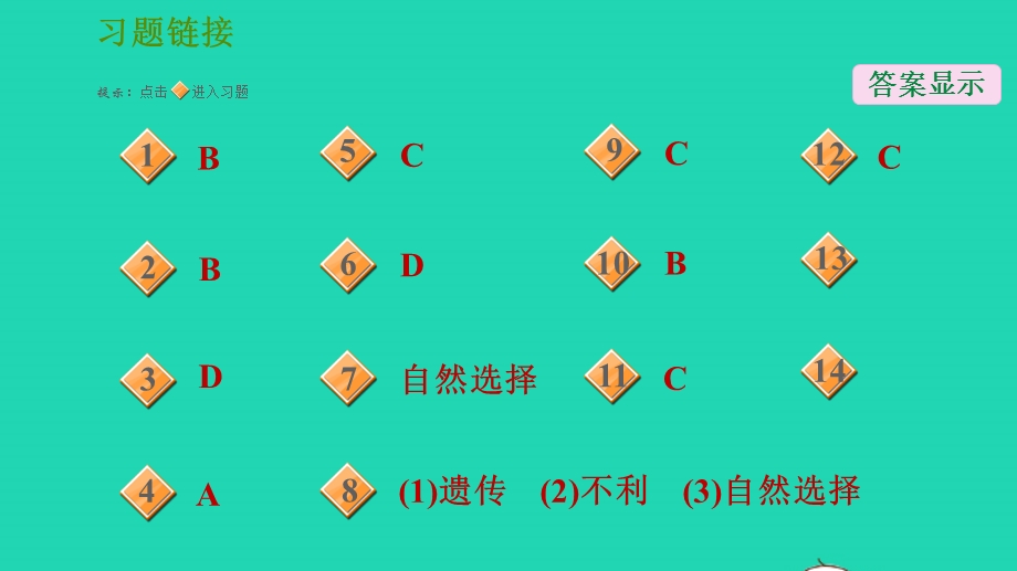 2022九年级科学下册 第2章 地球的演变和生物圈的形成 3 生物进化习题课件 （新版）华东师大版.ppt_第2页