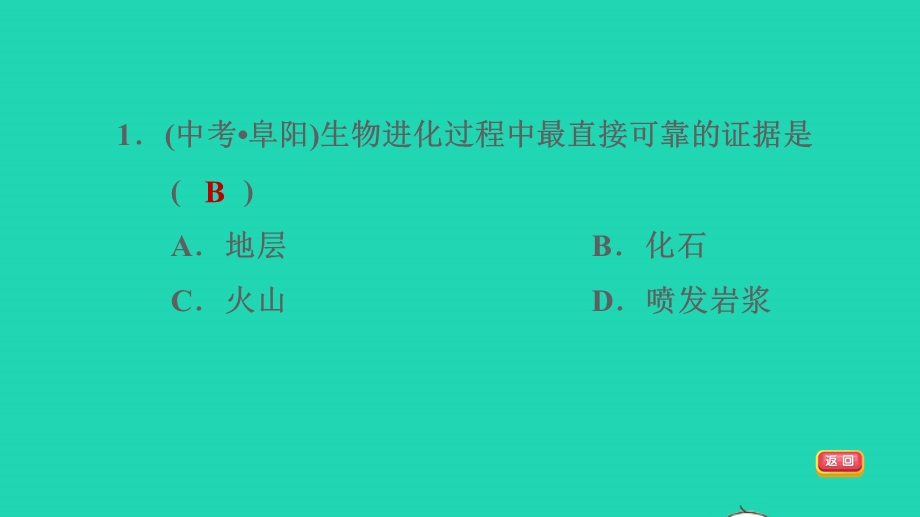 2022九年级科学下册 第2章 地球的演变和生物圈的形成 3 生物进化习题课件 （新版）华东师大版.ppt_第3页