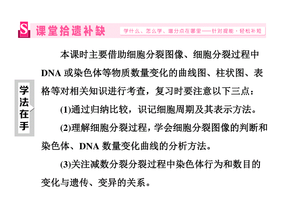 2016届高三生物二轮复习课件：专题一 细胞系统 第4讲 第1课时 细胞分裂（重点保分课） .ppt_第3页