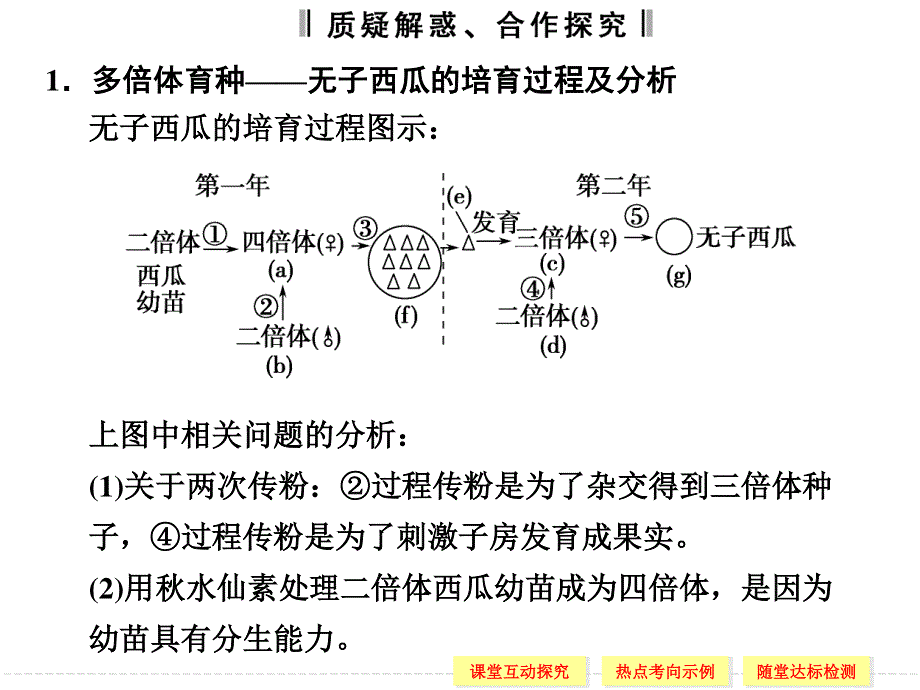 2015-2016学年高一生物人教版必修2课件：5-2-2 染色体变异 .ppt_第3页