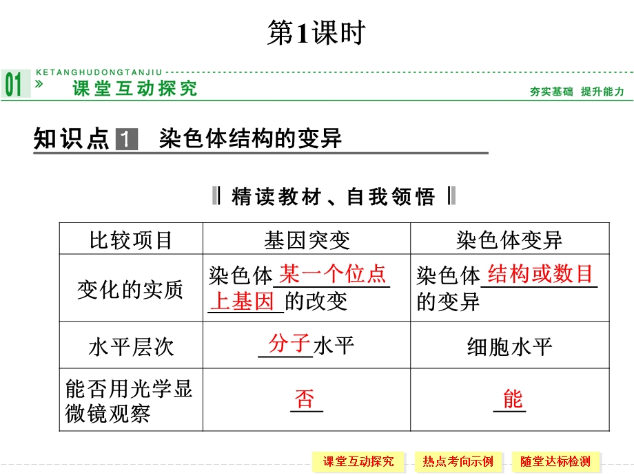 2015-2016学年高一生物人教版必修2课件：5-2-1 染色体变异 .ppt_第3页