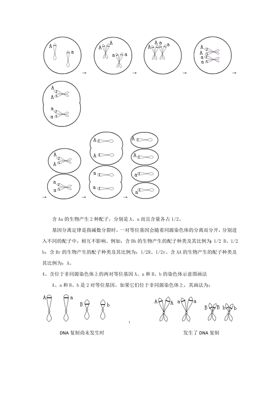 上海市古美高级中学2016年高中生命科学合格性考试考点汇编学案：8 遗传与变异 .doc_第2页