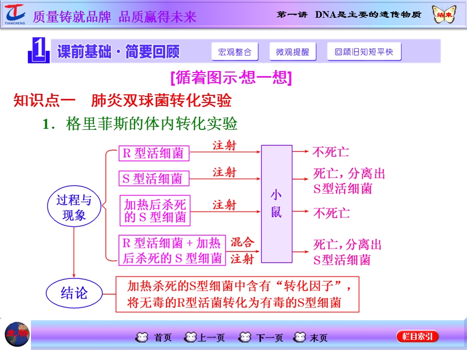 2016届高三生物一轮复习课件：必修2 第2单元 第一讲 DNA是主要的遗传物质 .ppt_第2页