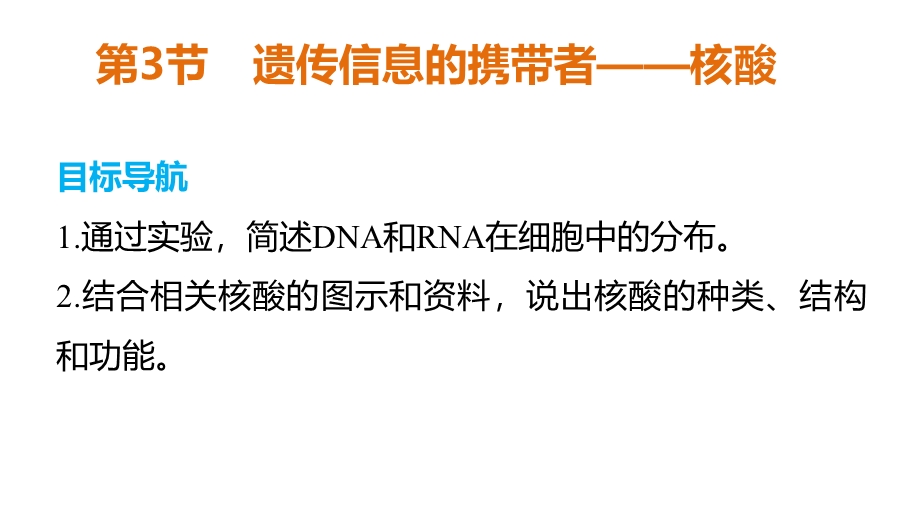 2015-2016学年高一生物人教版必修1课件：第2章 第3节 遗传信息的携带者——核酸 .ppt_第2页