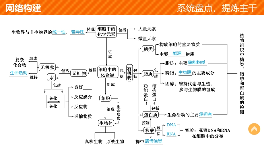 2015-2016学年高一生物人教版必修1课件：第2章 组成细胞的分子 章末整合提升 .ppt_第3页